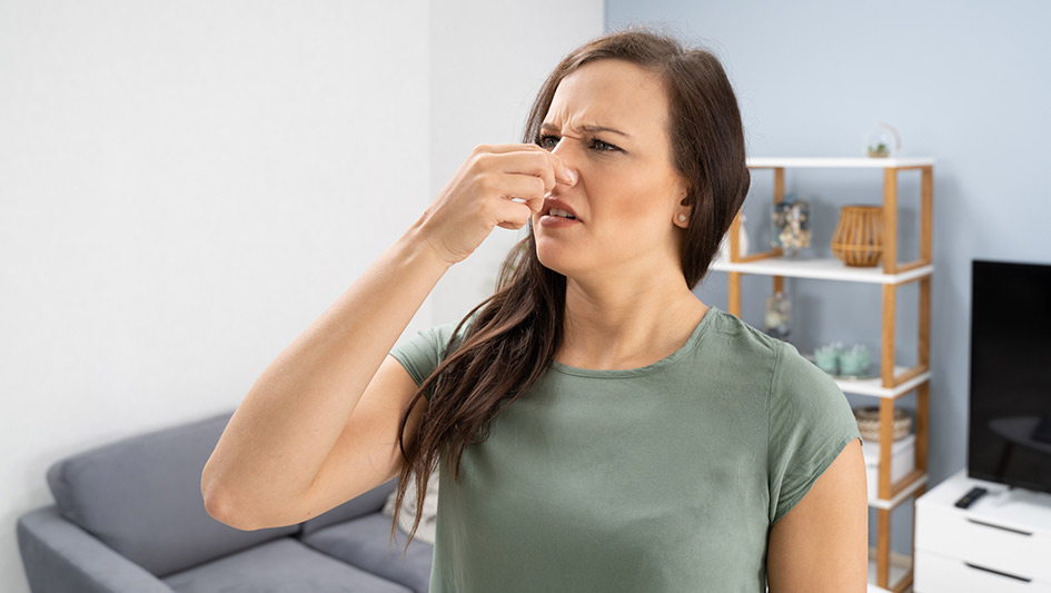 Six Common Air Conditioner Smells Decoded and How to Fix the Issue